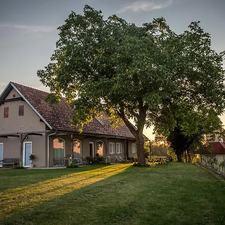 Villa Winzarei, Weingut Tement Berghausen Exterior foto